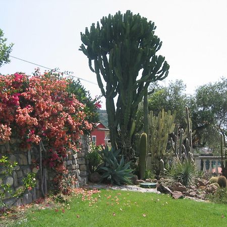Ca Dei Conti Villa ซานบาร์โตโลเมโอ อัล มาเร ห้อง รูปภาพ