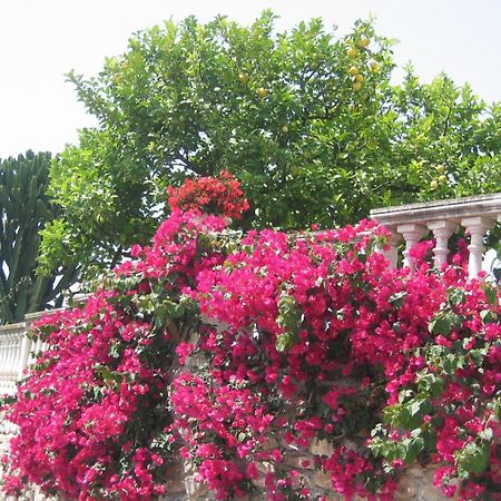 Ca Dei Conti Villa ซานบาร์โตโลเมโอ อัล มาเร ห้อง รูปภาพ