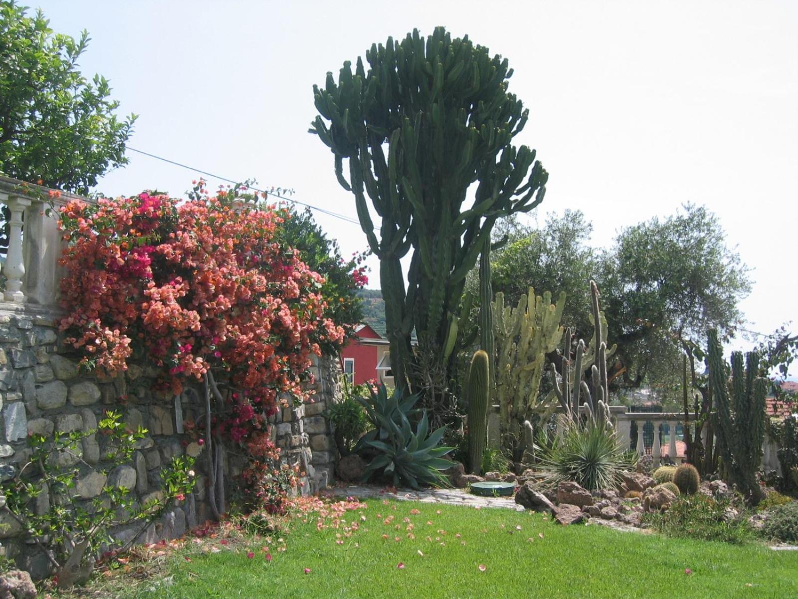 Ca Dei Conti Villa ซานบาร์โตโลเมโอ อัล มาเร ห้อง รูปภาพ