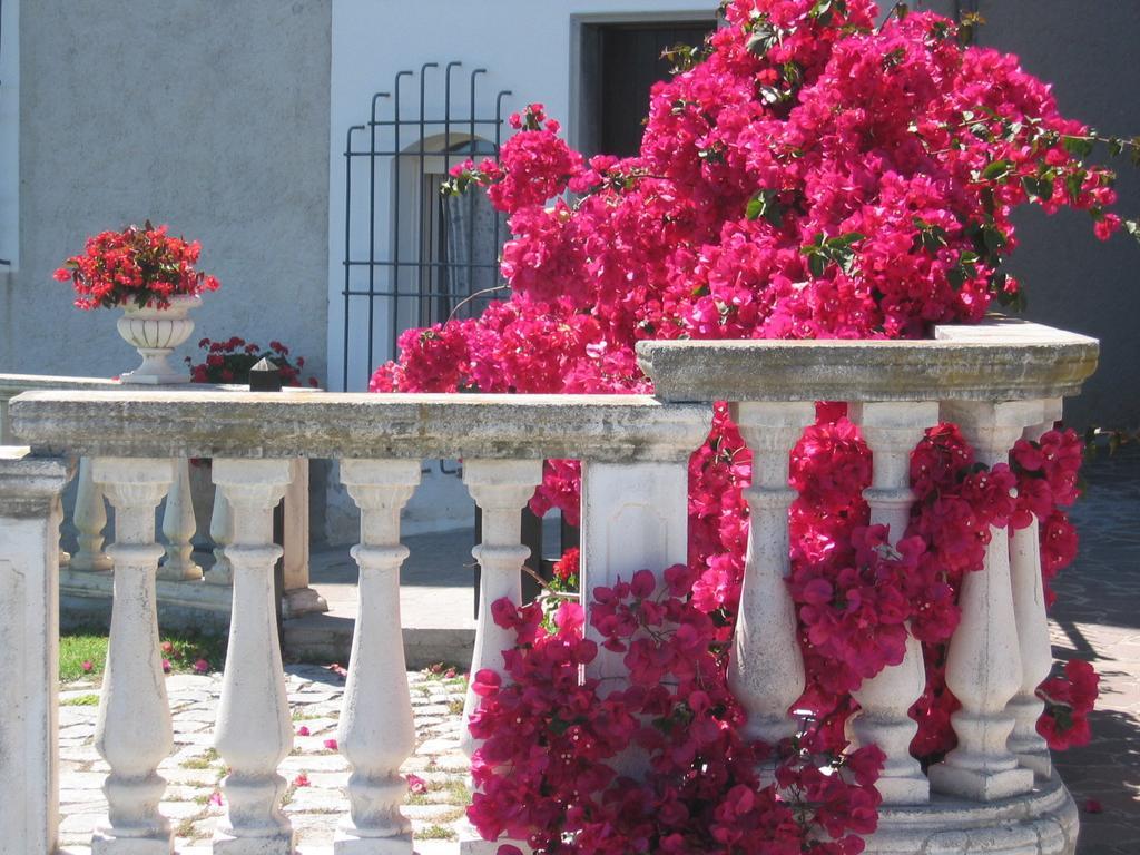 Ca Dei Conti Villa ซานบาร์โตโลเมโอ อัล มาเร ห้อง รูปภาพ
